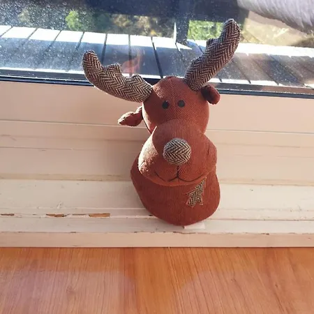 Apartamento Vue Sur Pistes Les Angles (Pyrenees-Orientales)